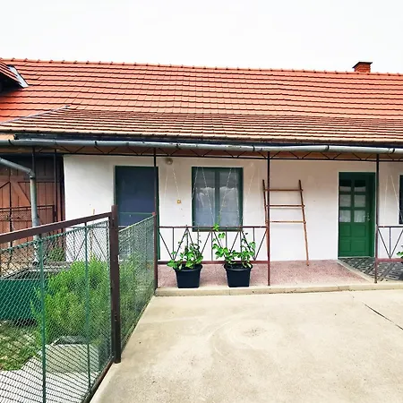 Nest Apartment