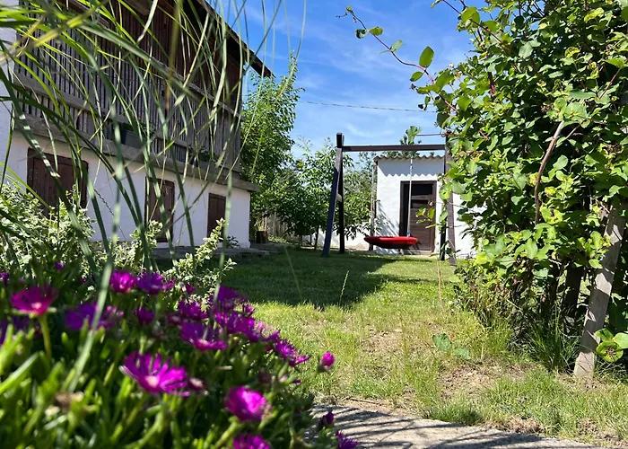 Nest * באלאטונסארסו